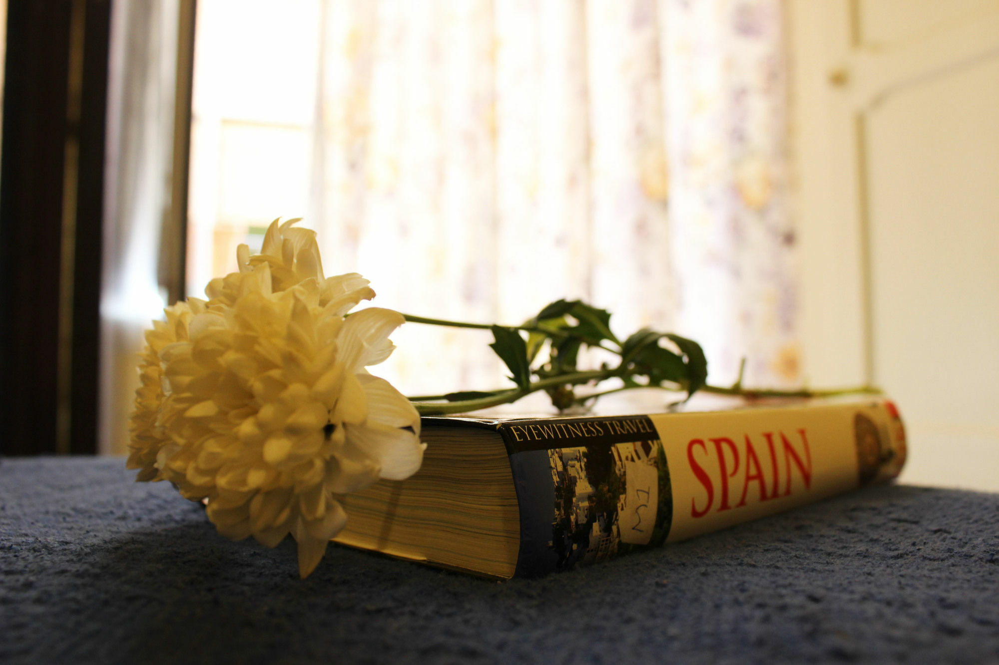 Hotel Lisdos Seville